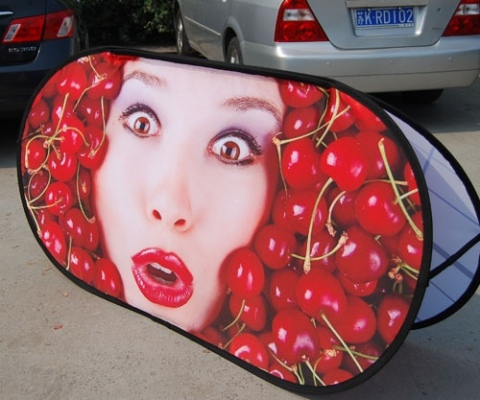 Pop Up Banner
