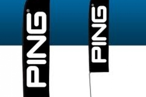 promflags12